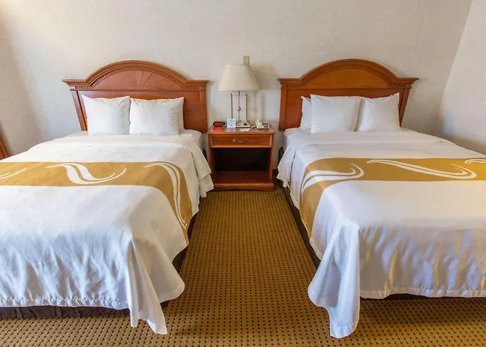 Quality & Hotel 4*