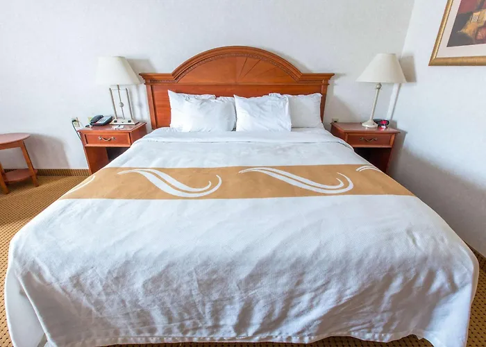 Quality & Hotel