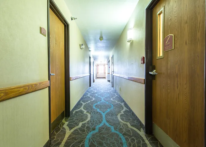 Quality & Hotel