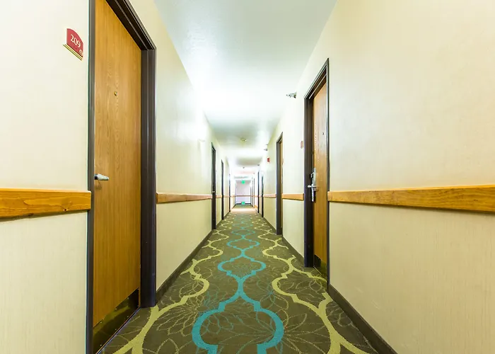 Hotel Quality &