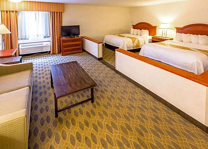 Quality & Hotel