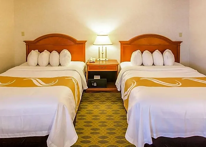 Quality & Hotel