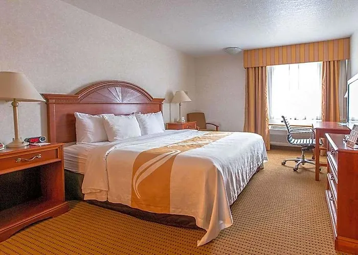 Quality & Hotel 4*