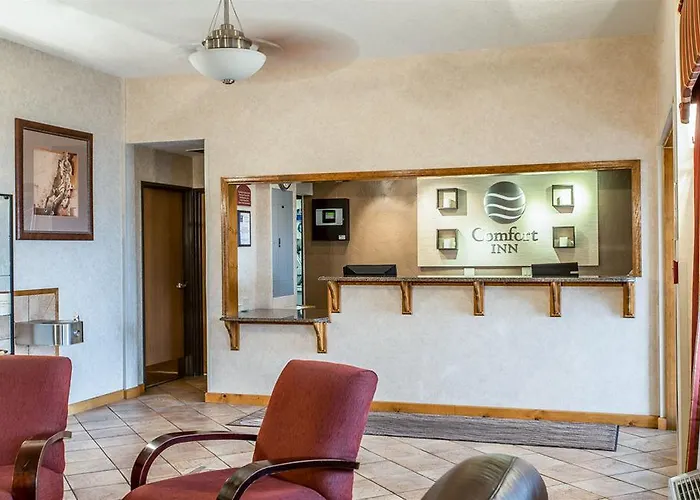Quality & Hotel